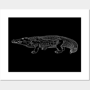 Crocodile - Alligator Posters and Art